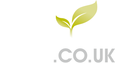 ElmbridgeCourt.co.uk